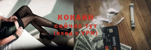 крисы Арсеньев