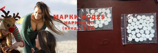 ГАЛЛЮЦИНОГЕННЫЕ ГРИБЫ Армянск
