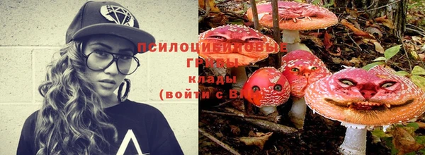 ГАЛЛЮЦИНОГЕННЫЕ ГРИБЫ Армянск