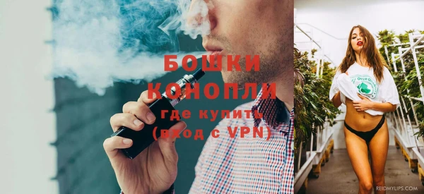 ГАЛЛЮЦИНОГЕННЫЕ ГРИБЫ Армянск