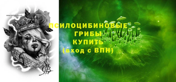 ГАЛЛЮЦИНОГЕННЫЕ ГРИБЫ Армянск
